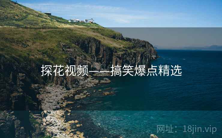 探花视频——搞笑爆点精选