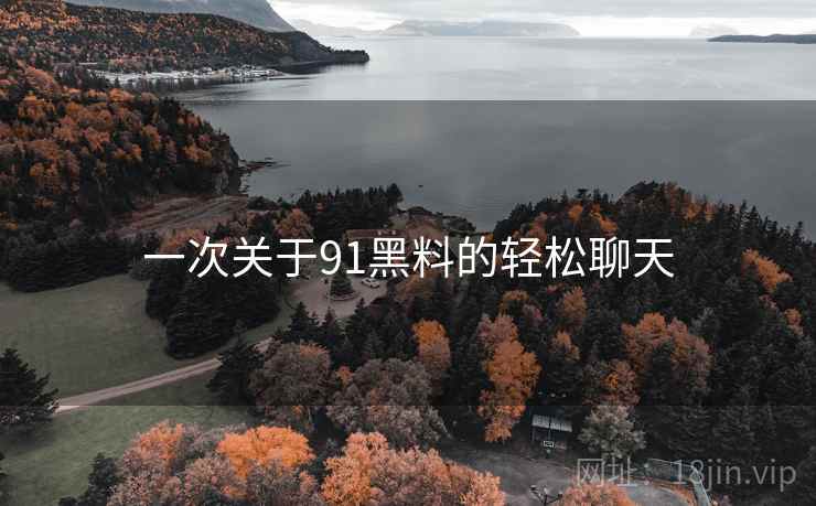 一次关于91黑料的轻松聊天