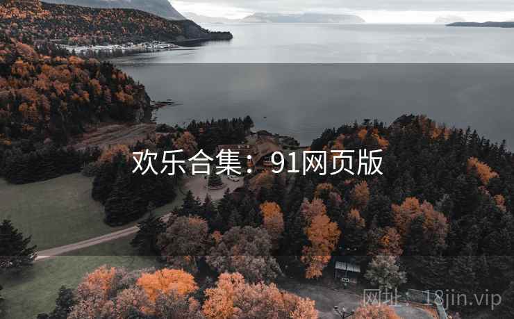 欢乐合集:91网页版