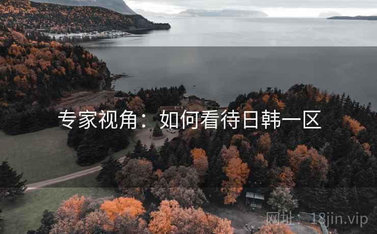 专家视角:如何看待日韩一区  第1张 专家视角:如何看待日韩一区  第1张