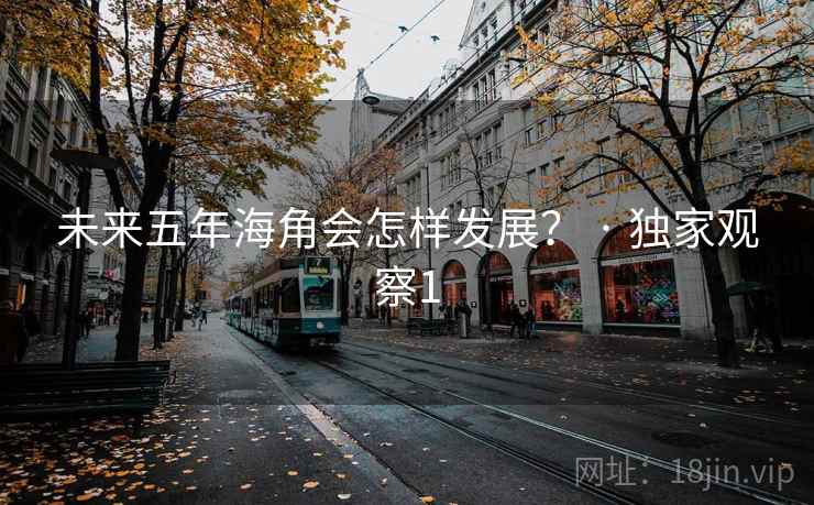 未来五年海角会怎样发展? · 独家观察1