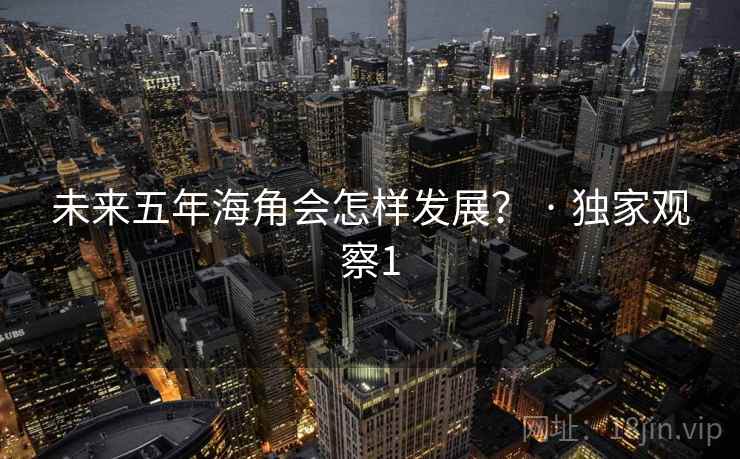 未来五年海角会怎样发展? · 独家观察1